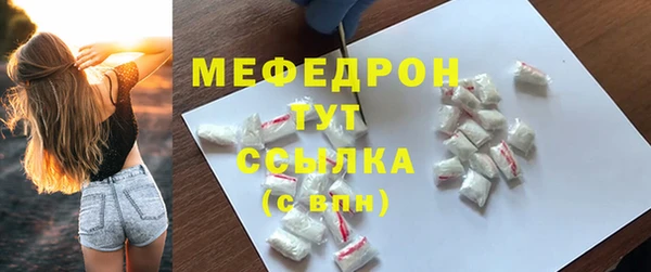 стаф Верея