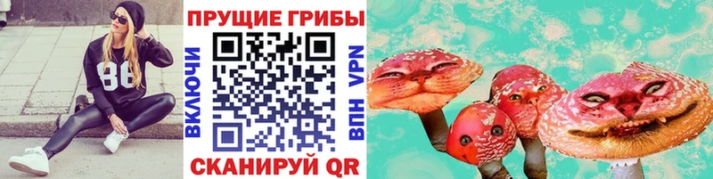 Купить закладки  Сясьстрой  Псилоцибиновые грибы Psilocybine cubensis 